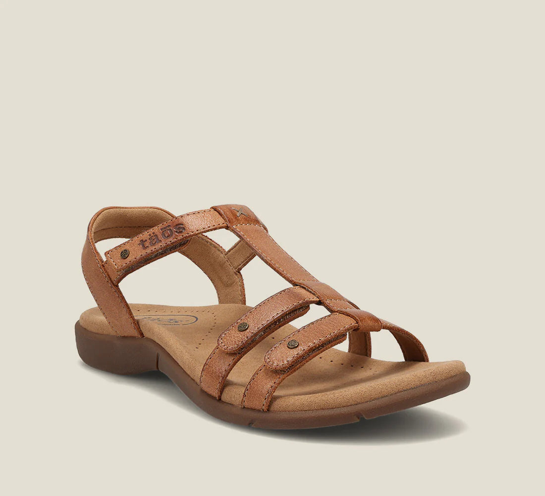 Designer Shoes Clearance Taos Trophy 2 Sandal Honey Women's